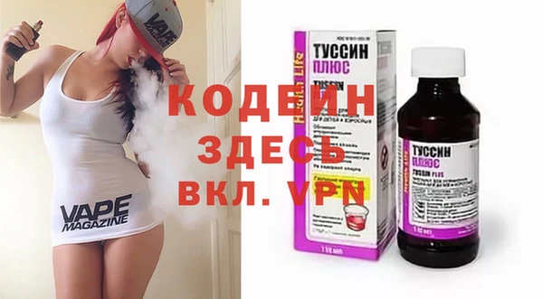 молекула духа Богданович