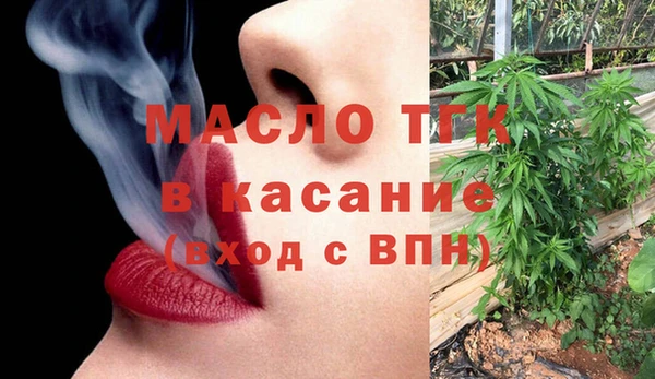 молекула духа Богданович