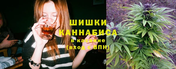 молекула духа Богданович