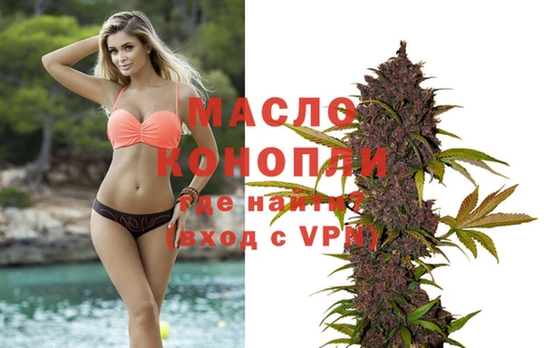 молекула духа Богданович