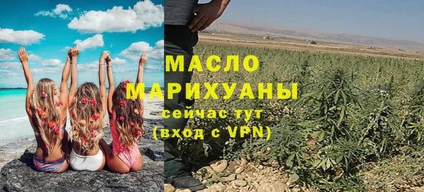 молекула духа Богданович