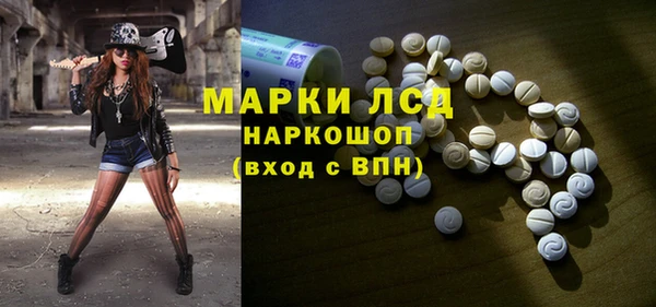 молекула духа Богданович