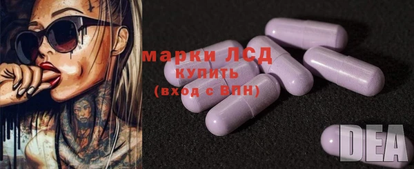 молекула духа Богданович